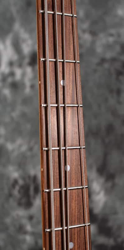 Michael Kelly Custom Collection 4-String Buckeye Burl
