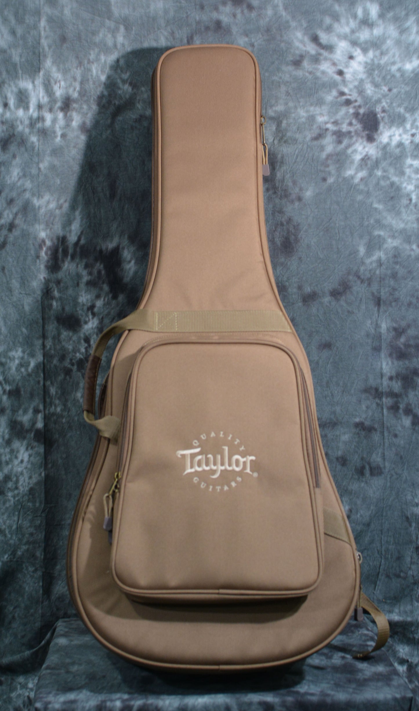 Taylor 214ce-N Grand Auditorium Nylon Slothead w/ Gigbag