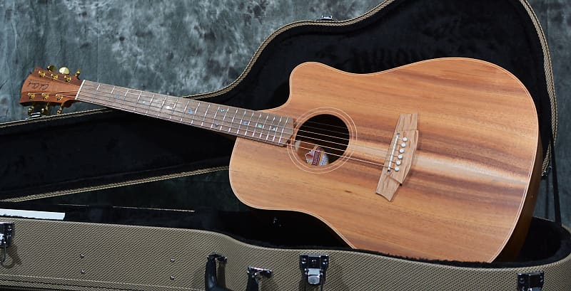 Cole Clark FL2EC-BLBL Fat Lady 2 Blackwood