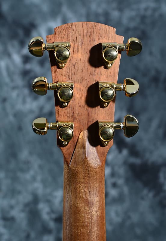 Cole Clark Angel 2 Grand Auditorium Bunya Silky Oak