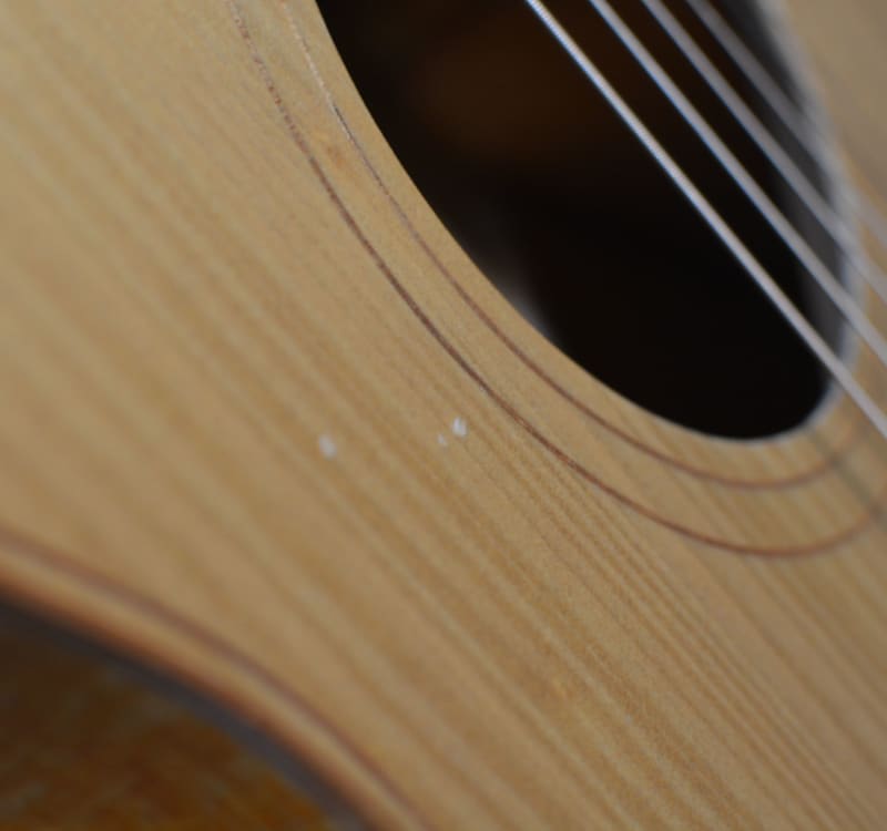 Cole Clark Angel 2 Grand Auditorium Bunya Silky Oak