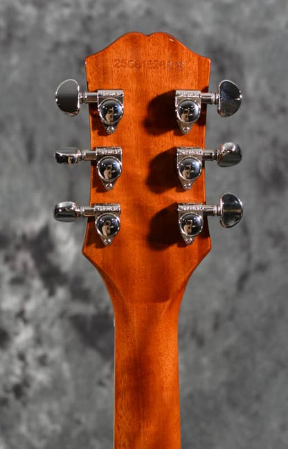 Epiphone Les Paul Standard 60s Ebony Brown Back