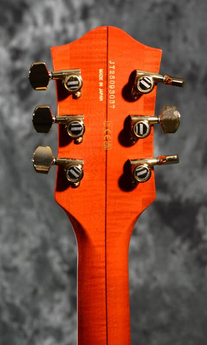 Gretsch 6120 Nashville Hollow Body Orange Stain Professional