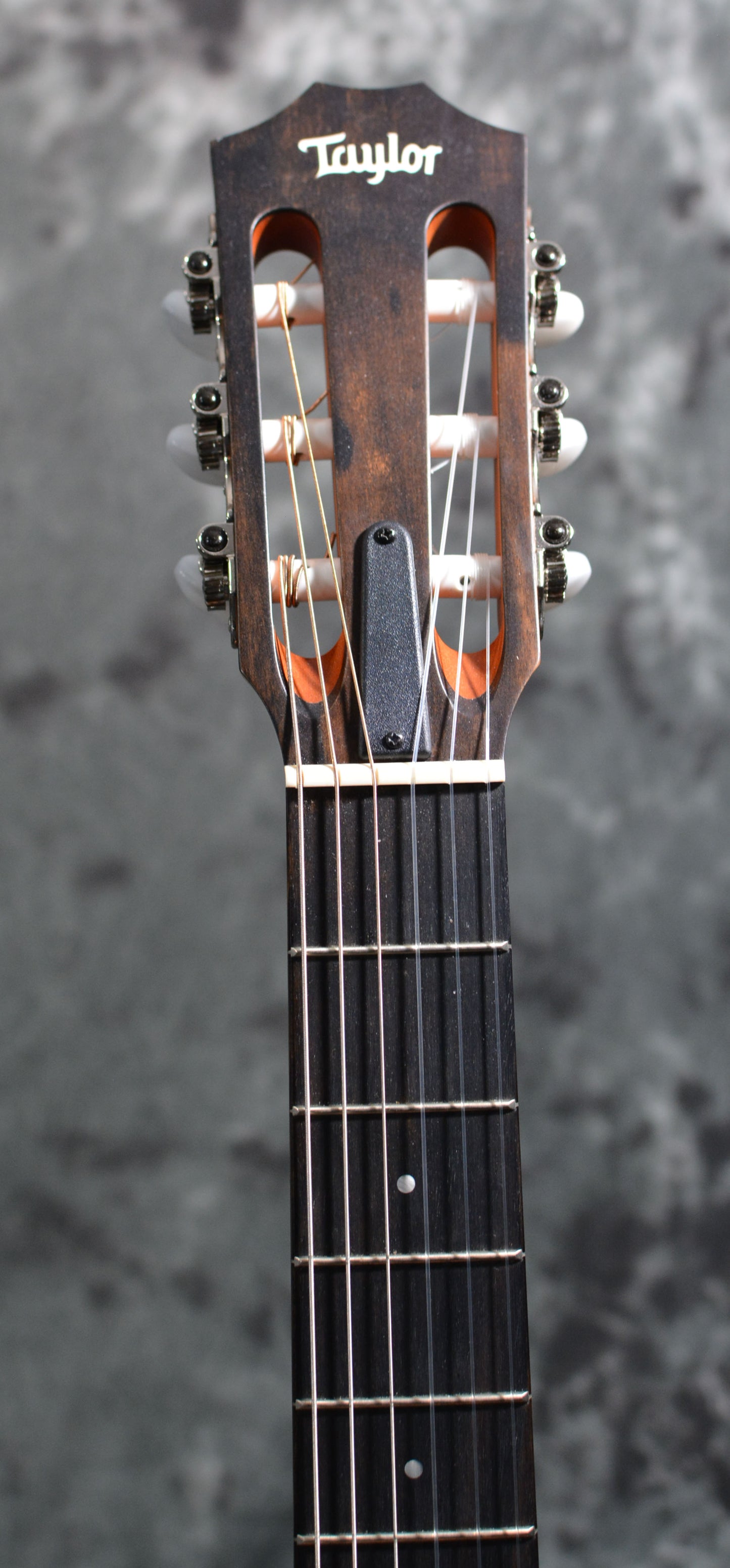 Taylor 214ce-N Grand Auditorium Nylon Slothead w/ Gigbag