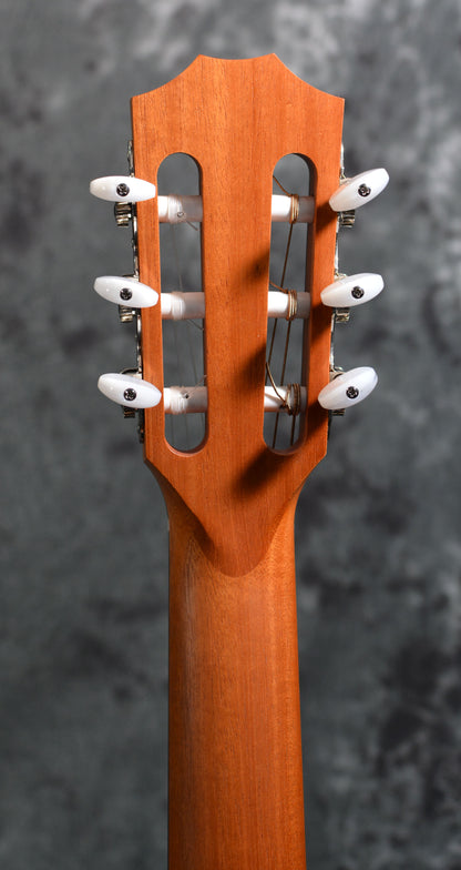 Taylor 214ce-N Grand Auditorium Nylon Slothead w/ Gigbag