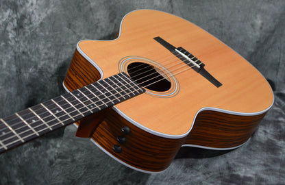 Taylor 214ce-N Grand Auditorium Nylon Slothead w/ Gigbag