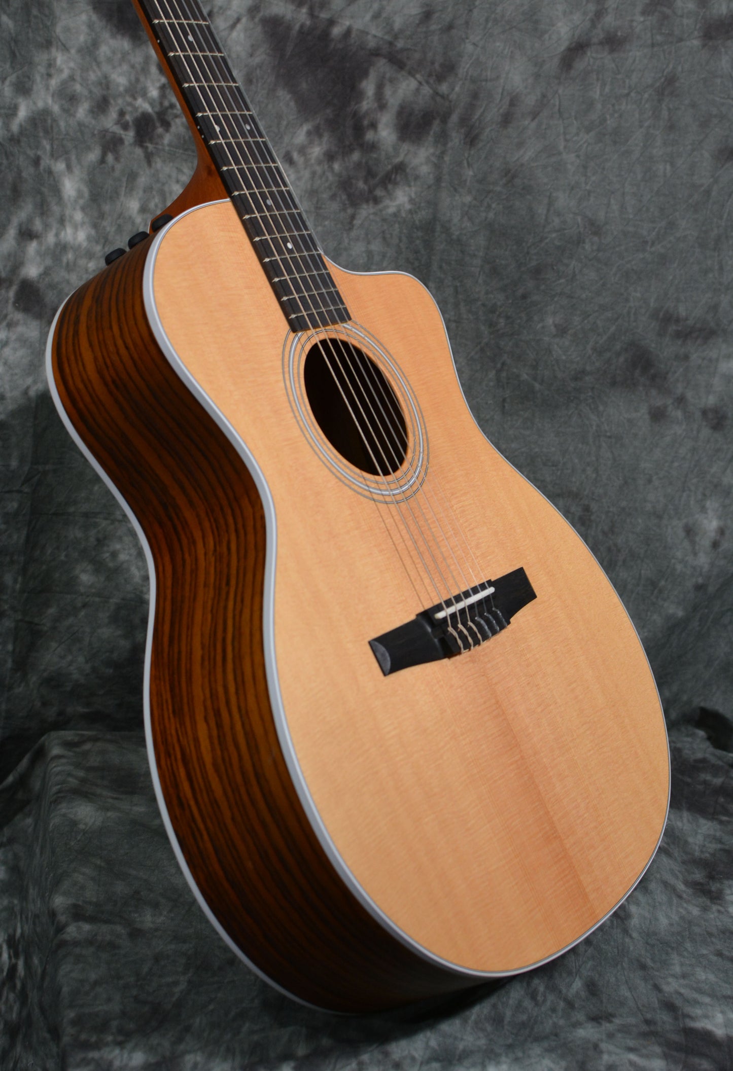 Taylor 214ce-N Grand Auditorium Nylon Slothead w/ Gigbag