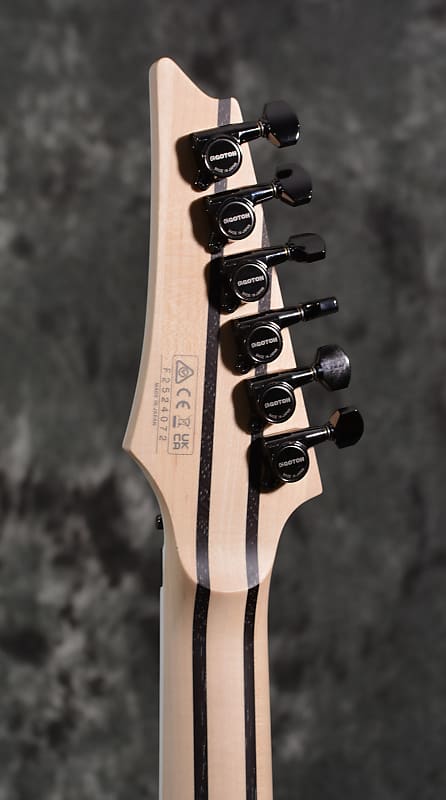 Ibanez Prestige RG5120M Frozen Ocean Floyd Rose