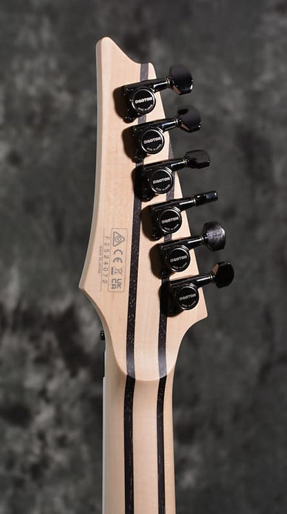 Ibanez Prestige RG5120M Frozen Ocean Floyd Rose