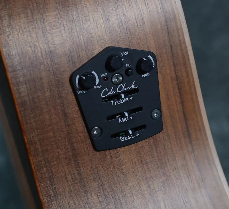 Cole Clark FL2EC-BLBL Fat Lady 2 Blackwood