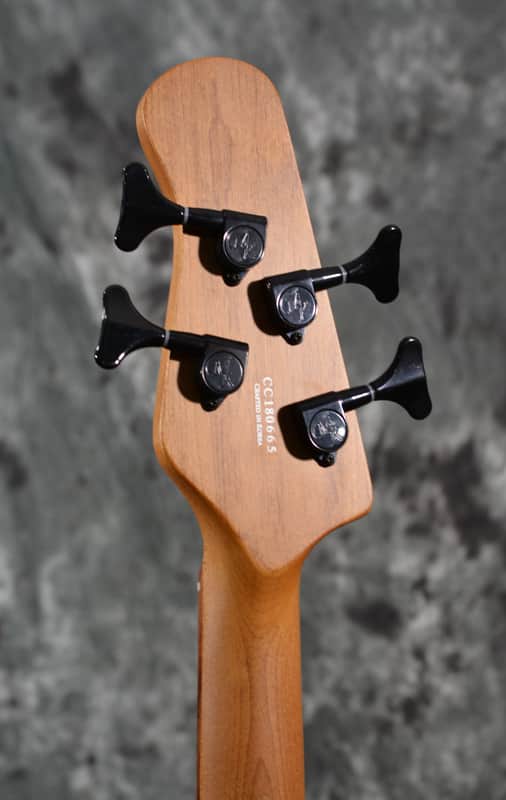 Michael Kelly Custom Collection 4-String Buckeye Burl