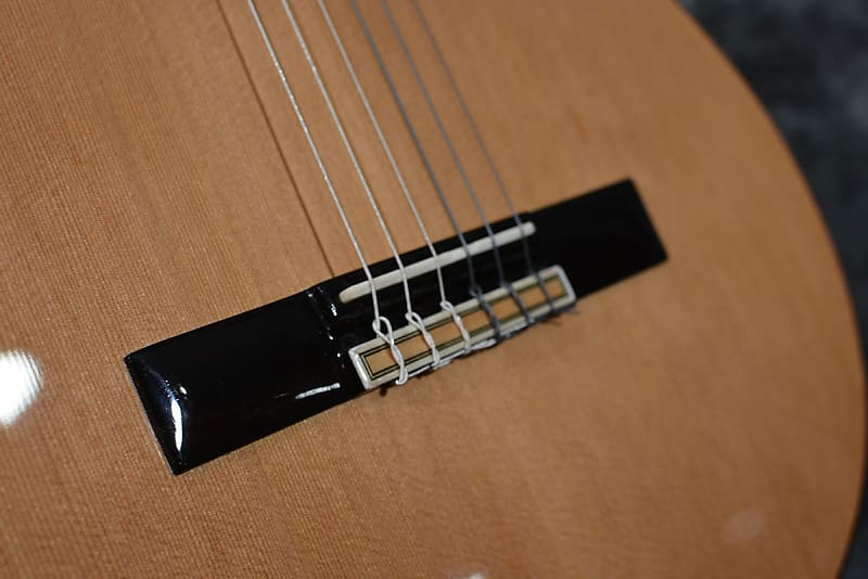 Manuel Rodriguez Model A Cut Cutaway Nylon Classical Acoustic Electric