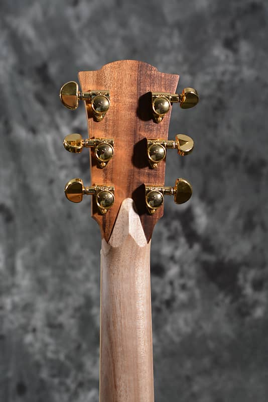 Cole Clark Fat Lady 2 Blackwood Dreadnought Cutaway