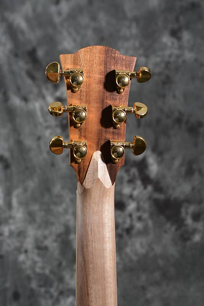 Cole Clark Fat Lady 2 Blackwood Dreadnought Cutaway