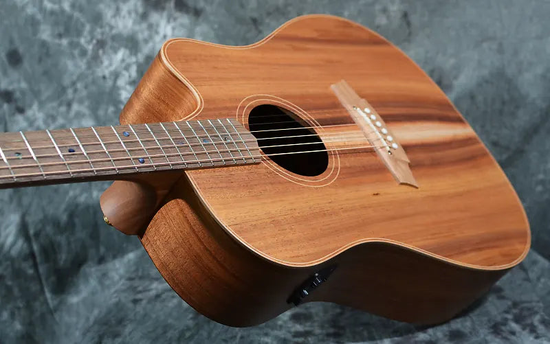 Cole Clark FL2EC-BLBL Fat Lady 2 Blackwood