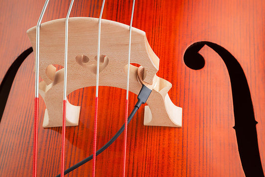 Kremona KNA DB-1 Acoustic Upright Double Bass Pickup