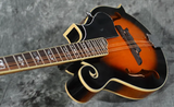 Gold Tone GM-35 F-Style Mandolin Spruce Top with Maple Back and Sides
