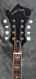 Gold Tone GM-35 F-Style Mandolin Spruce Top with Maple Back and Sides