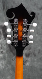 Gold Tone GM-35 F-Style Mandolin Spruce Top with Maple Back and Sides