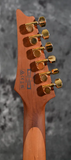 Ibanez RG420HPFM RG Series High Performance Blue Reef Gradation